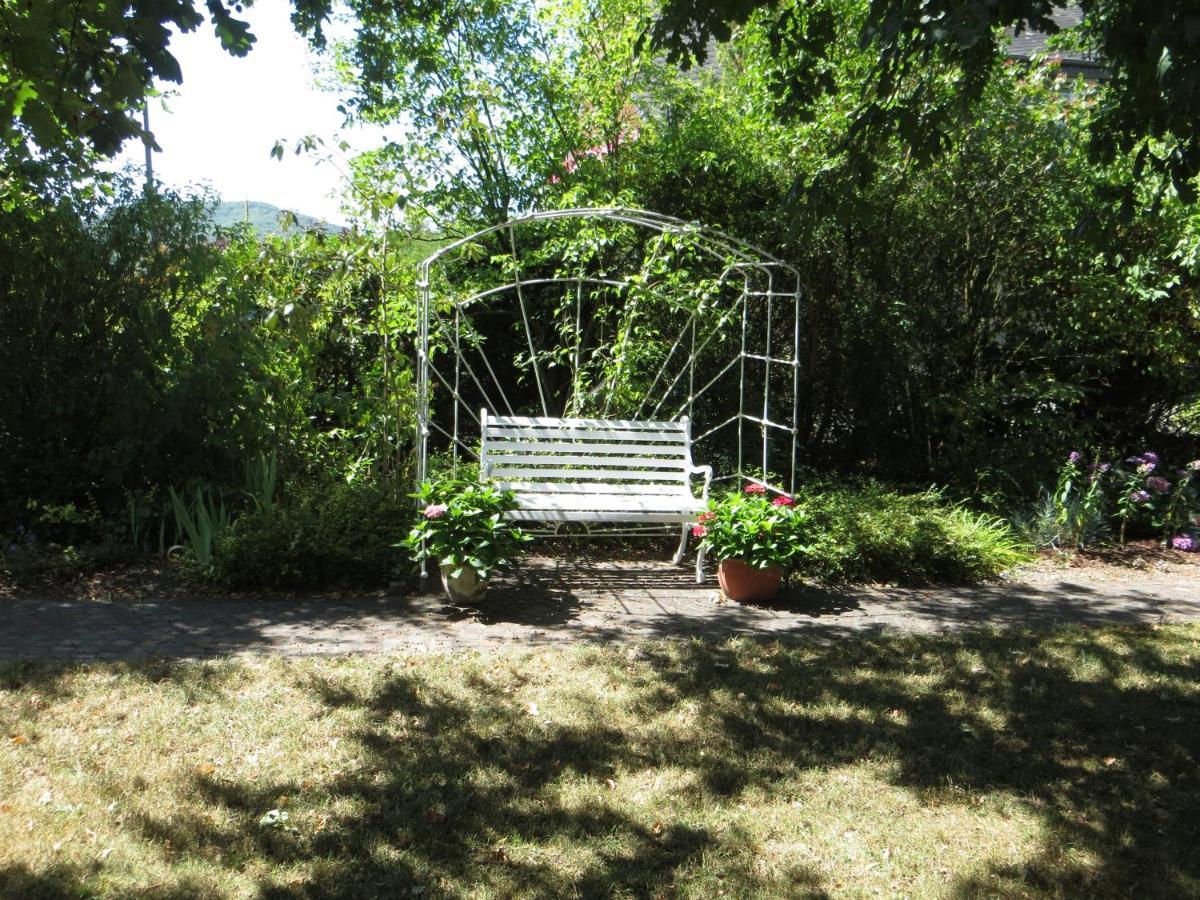 Zur Gartenlaube Bullay Εξωτερικό φωτογραφία